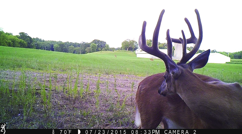 How to Get the Most Out of Your Trail Cameras