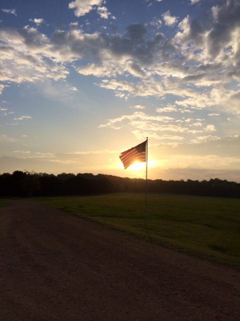 flagsun