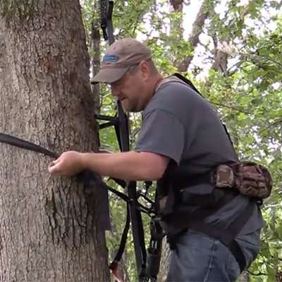 guide to tree stand safety