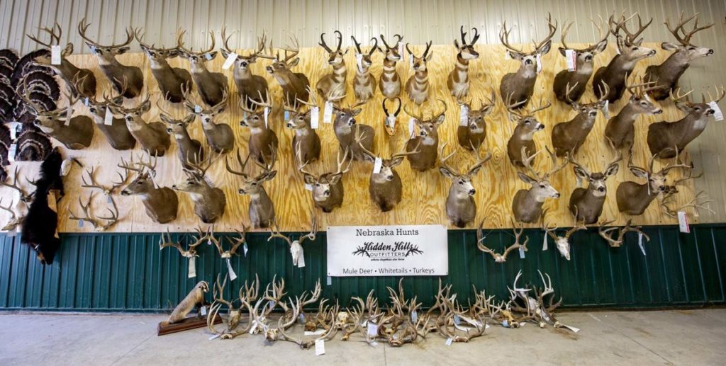 Hidden Hills Outfitters
