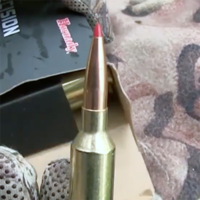 Hornady Precision Hunter
