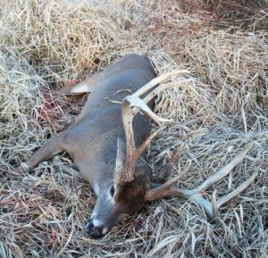 Record 8 pointer