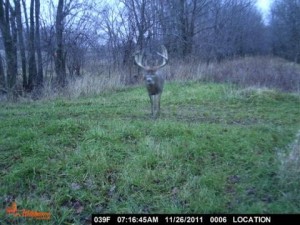 Illinois record buck