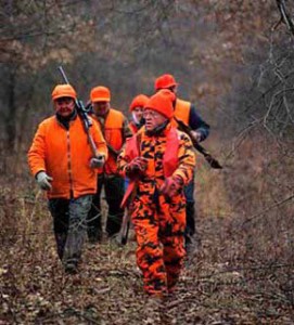 whitetail deer hunting