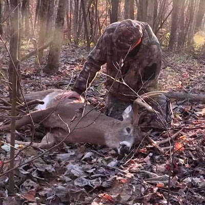 Ohio Bruiser