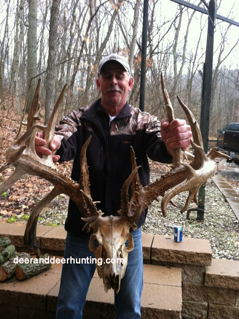 This giant 37 point nontypical buck was found by shed hunters in Missouri.