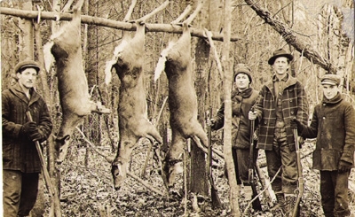 Whitetail Wisdom photo Whitetail Wisdom photo