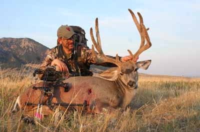 Pipher mulie Pipher mulie