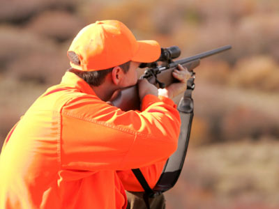 whitetail deer hunting