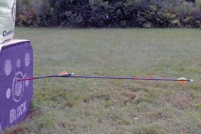 robin_hood (400x266)