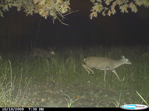 CDY_0012-2.JPG