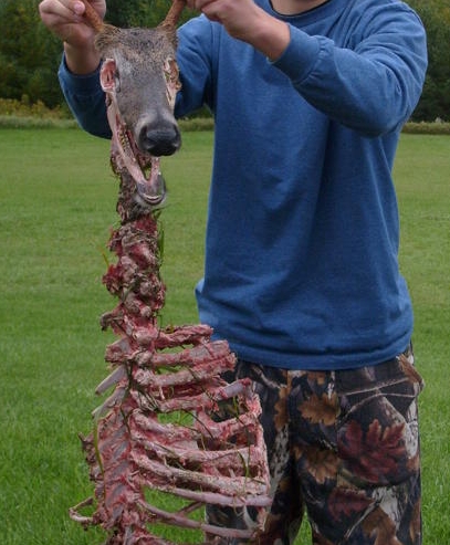 S6300522.jpg