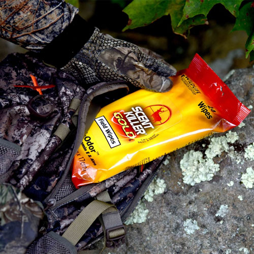 How to Set Up the Optimal Hunting Stand Scent Killer Wildlife Research Center
