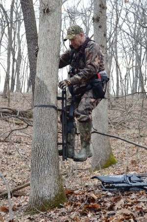Tree stand tactics