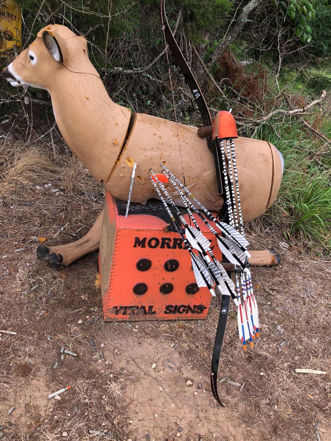 Ted Nugent recurve bow and arrow