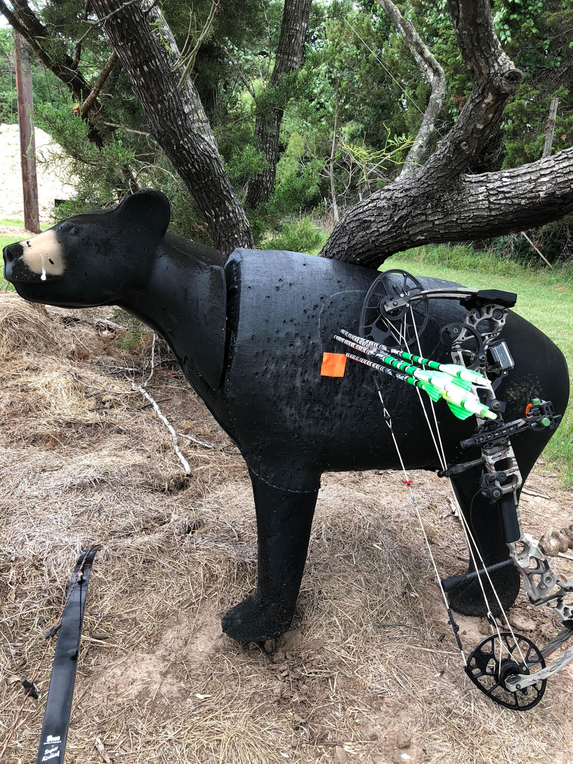 Nugent compound bow