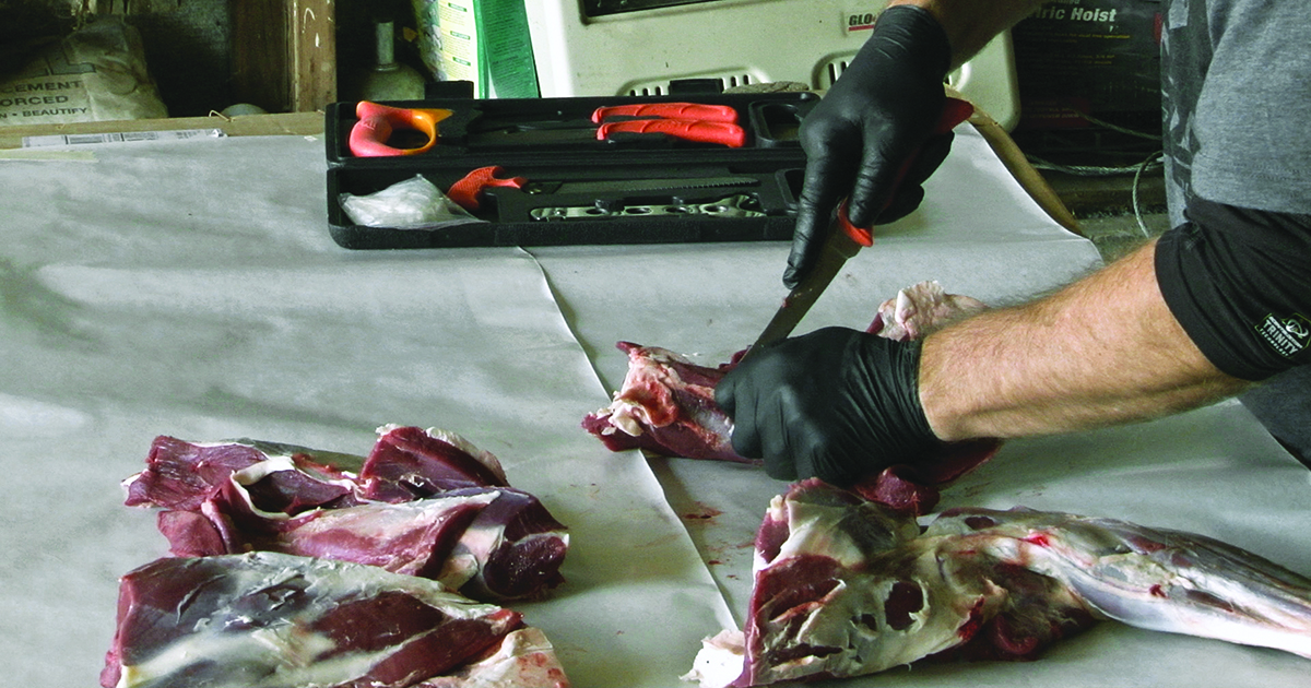The Science of Venison Spoilage