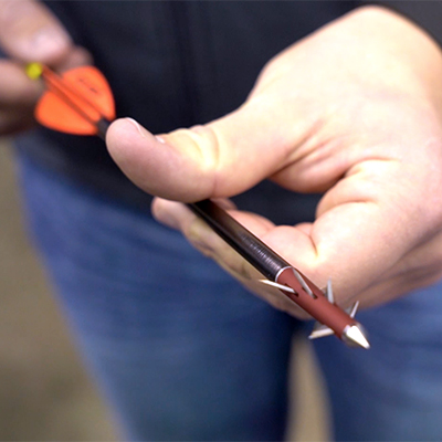 Thorn Crown Broadhead