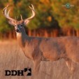 Lifelike Deer.
